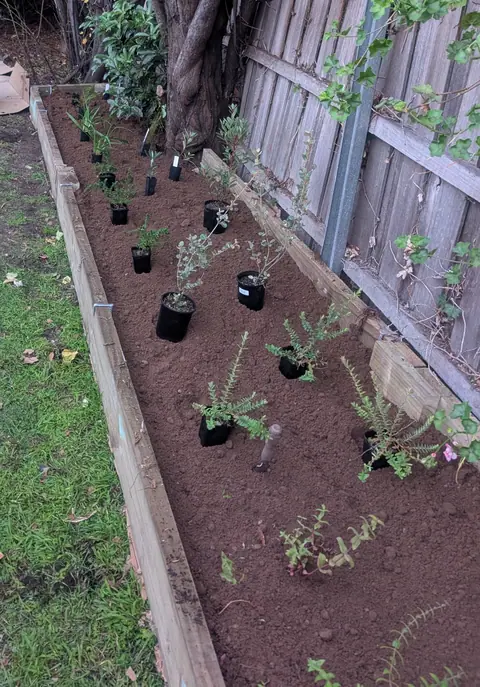Edged planted garden project image 6